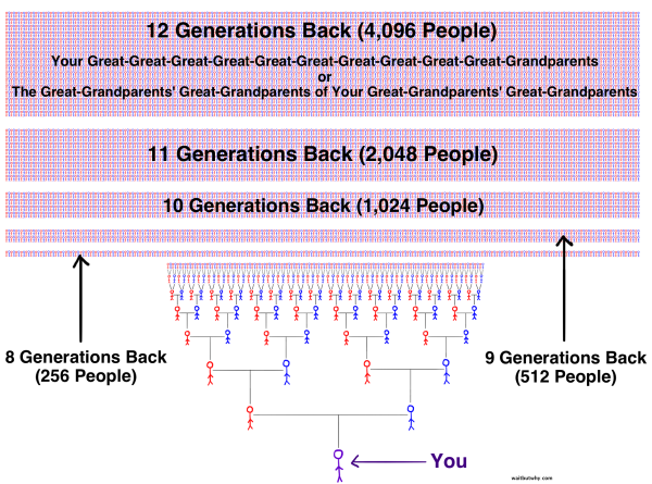 這張圖只比前一張再更往前追溯五代，有4096個人是你的十三世祖。