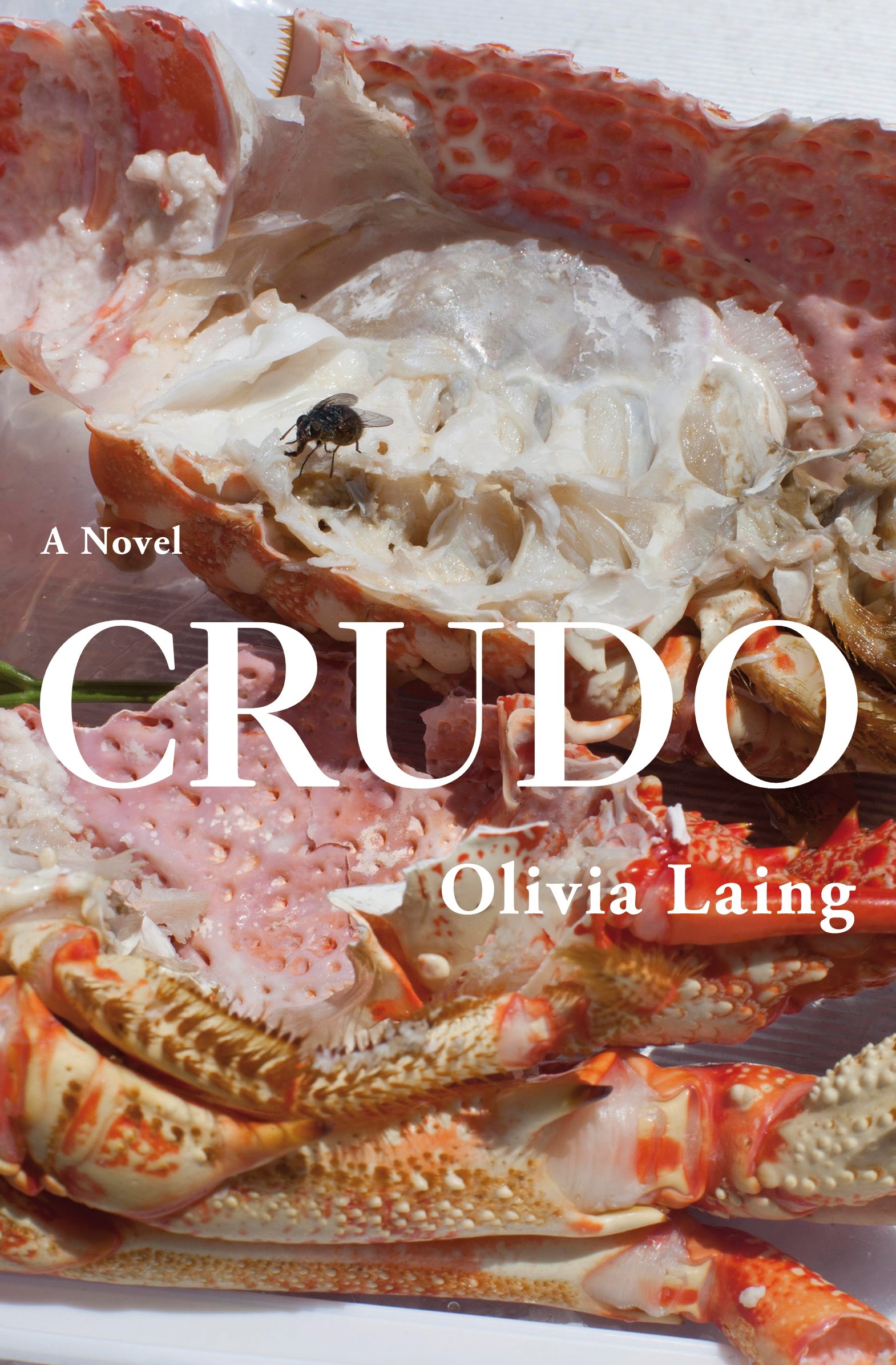 《Crudo》書封。