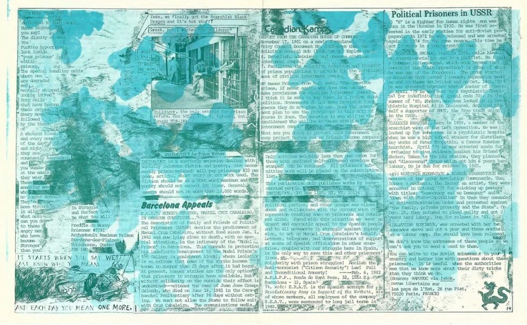 自1800年以來，美國囚犯在監獄內創辦了數百份大小、形狀與壽命不等的刊物。